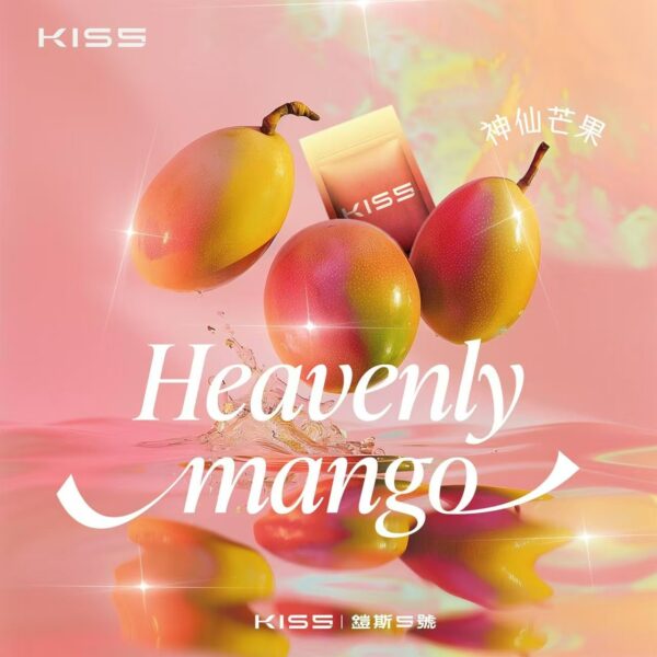【Z倉庫】KIS5鎧斯一代煙彈（單顆價：圖片 3